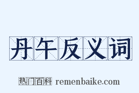 丹午反义词是什么意思的图片